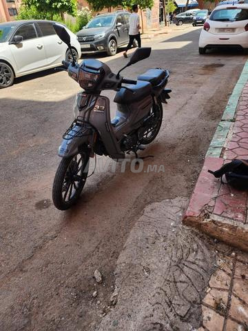 Vélo 33 Ribeiro - 2