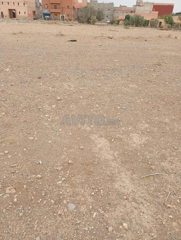terrain belaiguid wahat sidi brahim douar sraghna
