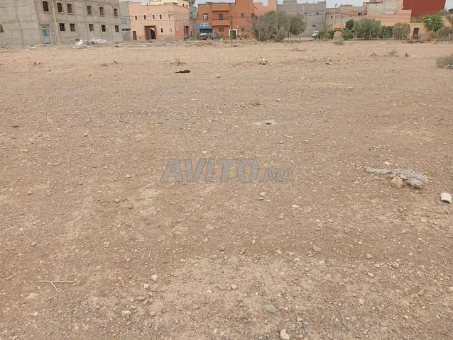أرض بلعيد واحة سيدي ابراهيم دوار السراغنة