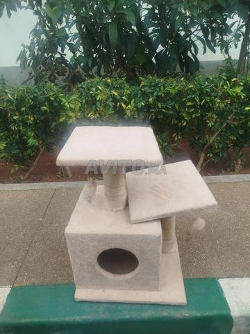 رباط حسان - 2