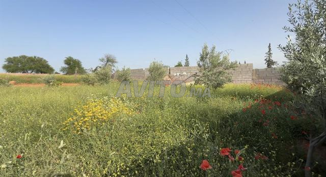 Terrain titré 715m² Ourika Km28