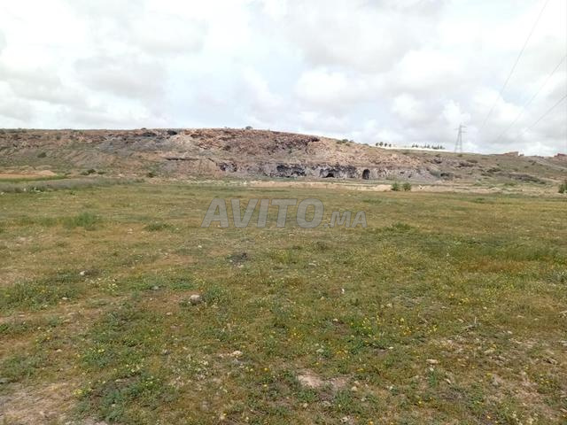 Terrain à vendre près de métro Oujda - 2