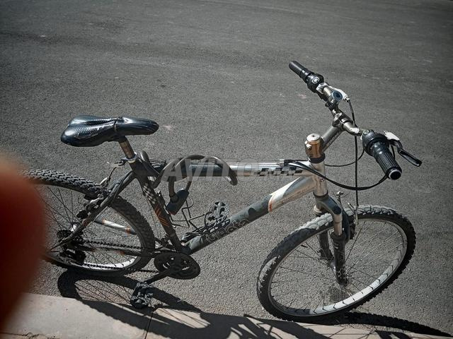 بيكال بيتا - 2