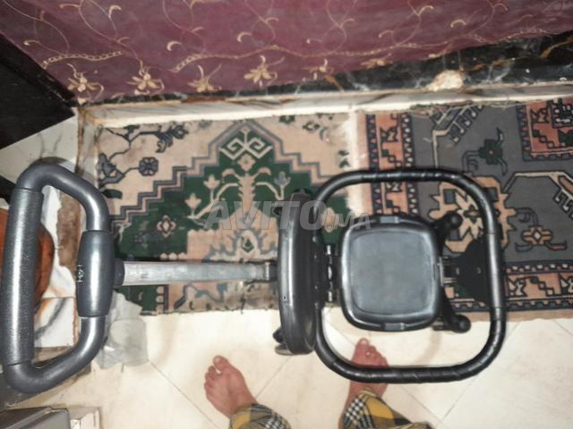 Chariot à dattes - 2