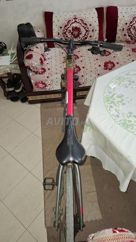 Riad et Lav - 2