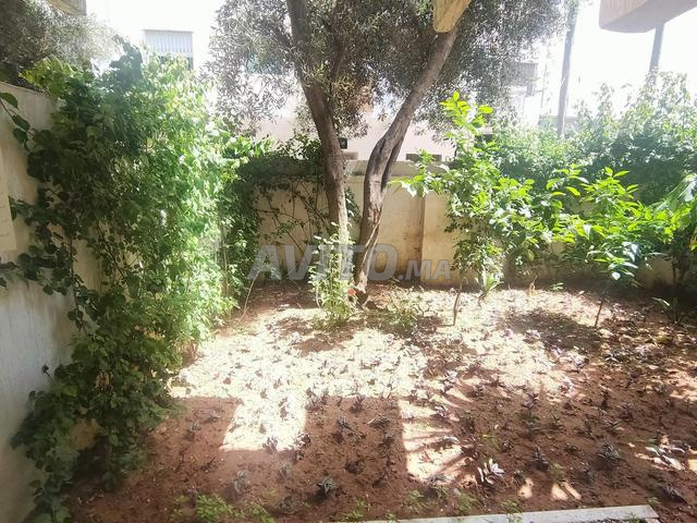 مكتب مجدد في ديور الجامع الرباط