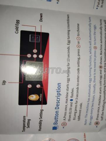 Incubateur d'œufs original - 2