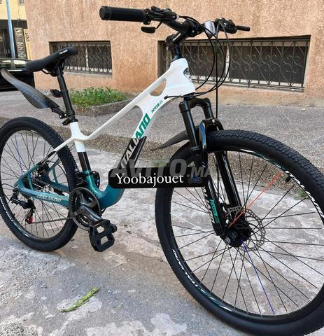 هل تريد دراجة قوية، خفيفة ومريحة للطريق أو للجبال؟ - 2