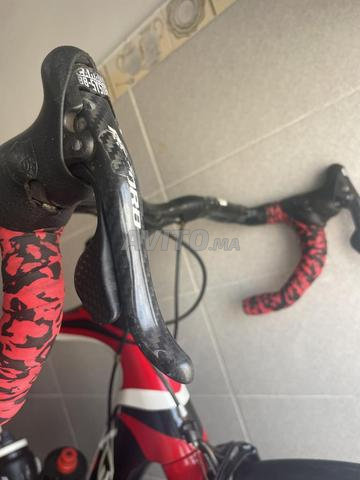 Ridley carbone 56 - 2