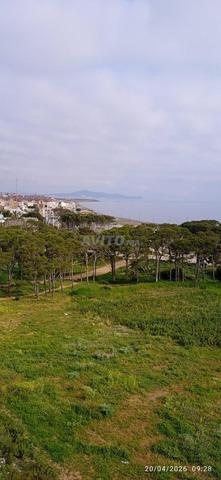 Appartement meublé à louer à Azla - 2