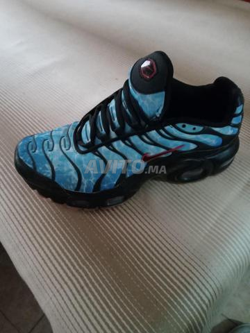 أزرق TN شارك أصلي - 2