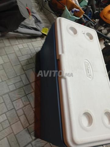 ثلاجات محمولة - 2