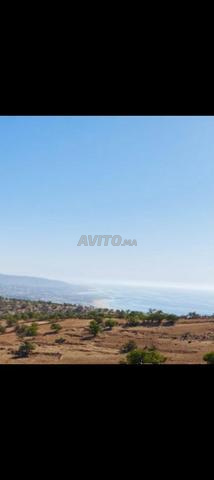 Terrain pour projet touristique