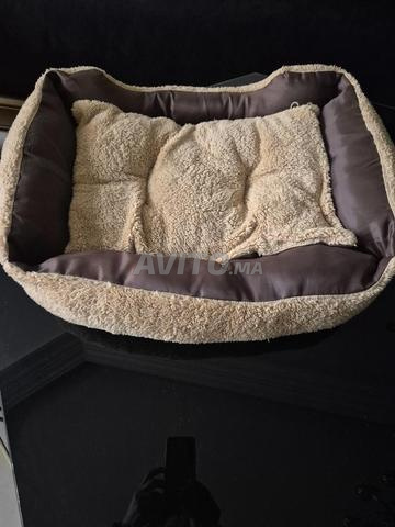 Panier chat/chien - 2