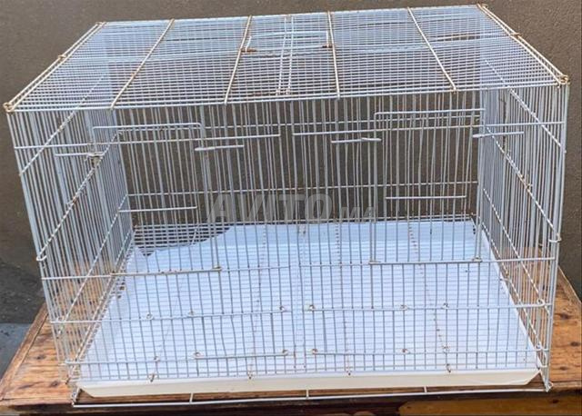 Grande cage 70/50 Koria - 2