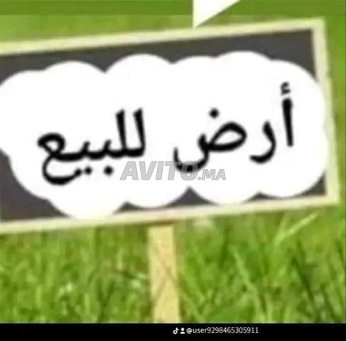 حي الصناعية ليساسفة