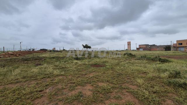 Magnifique Terrain de 573 m² à Ghmate - 2