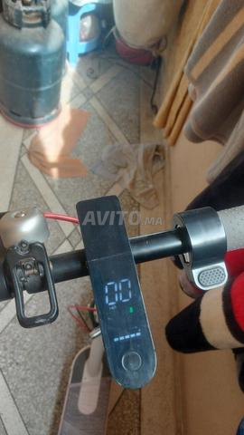 Trottinette électrique ECOXTREM - 2