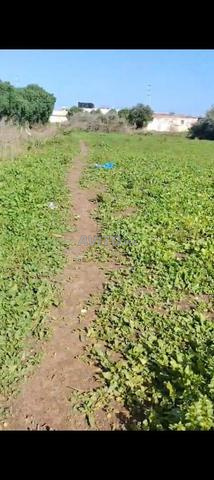 أرض للبيع للتواصل عبر - 2