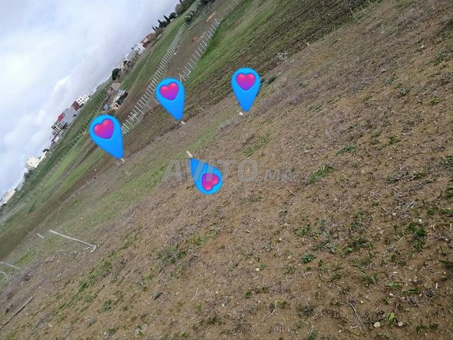 Terrain de 60 m² à vendre, titre de propriété à Chriaa - 2
