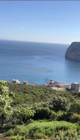 Zone villa Oued El Marsa Titré - 2