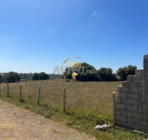 🌊 963m2 zone villa à Briech – Terrain vue mer - 2