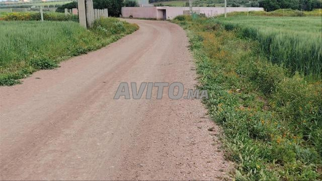أراضي مسجلة بإطلالة على البحر — سيدي رحال - 2