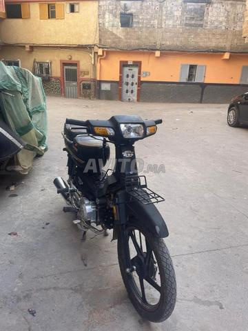c50 docker 125cc pac spaydar - 2