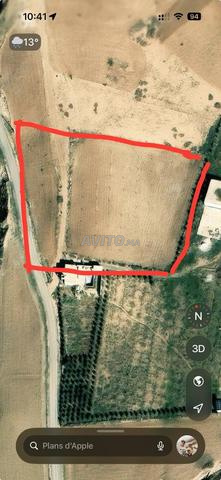 أرض للبيع هكتار واحد - 2