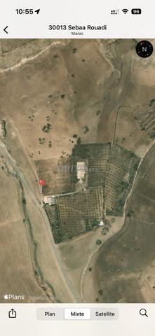 أرض للبيع هكتار واحد