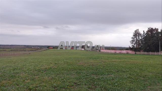 أراضٍ وفرمات محفظة للبيع | سيدي رحال - 2