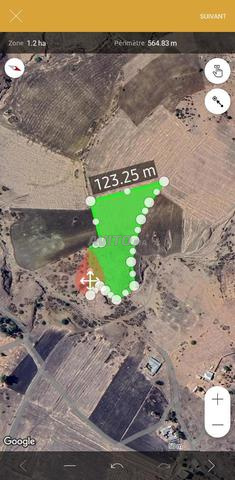 Terrain agricole عدلية à vendre - 2