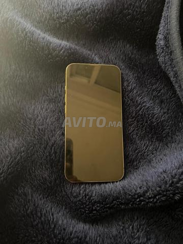 iPhone 13 Pro Argenté - 2