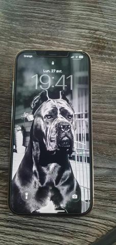 iPhone 12 Pro Max 128 Go 77 batterie