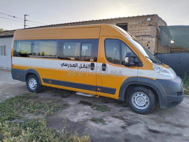 Fiat Ducato Transport scolaire - 2
