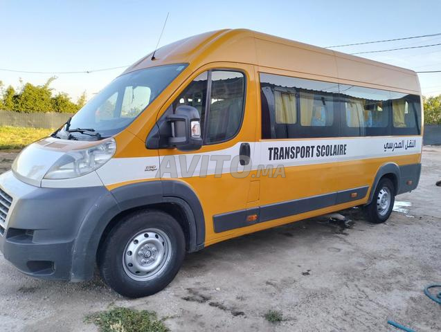 Fiat Ducato Transport scolaire