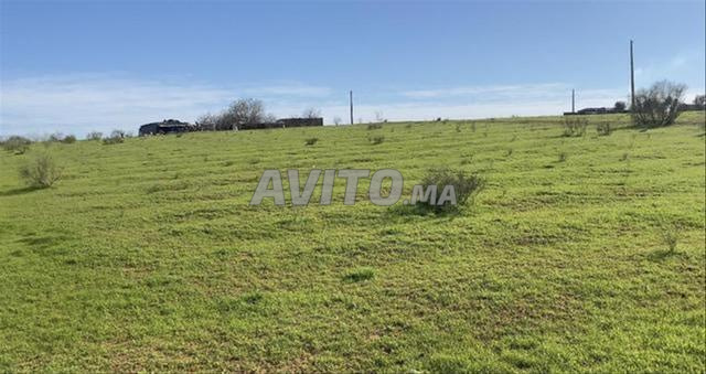 Vente de terrains & fermes titrés – Bir Jdid - 2