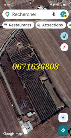 Ferme de 2ha titrée - 2