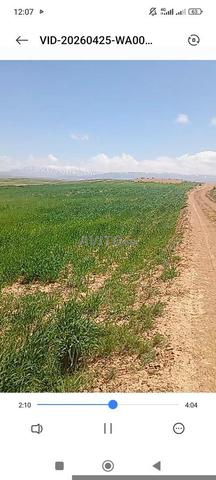 Terrain agricole - 2