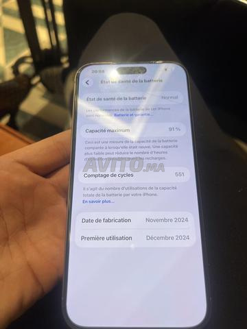 iPhone 16 Pro Max 256 Batterie 91