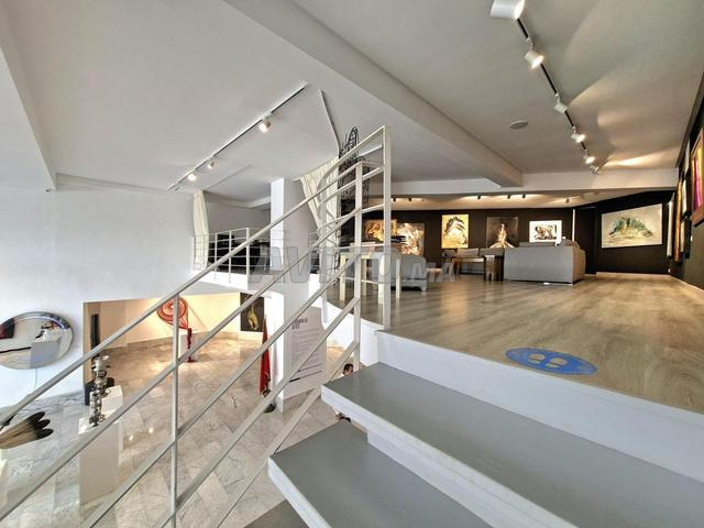 Local Commercial avec Mezzanine au Coeur de Racine - 2