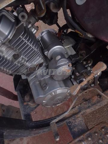 Taza, Résidence des Palmiers