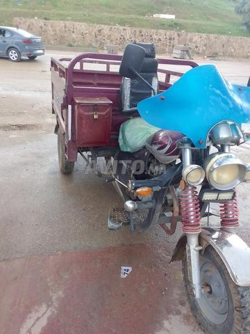 Taza, Résidence des Palmiers - 2