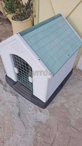 Niche en plastique robuste pour chien et chat - 2