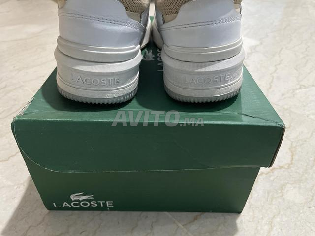 حذاء لاكوست مقاس 36 - 2