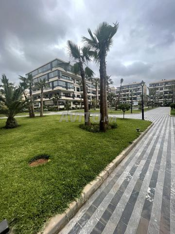 appartement californie - 2