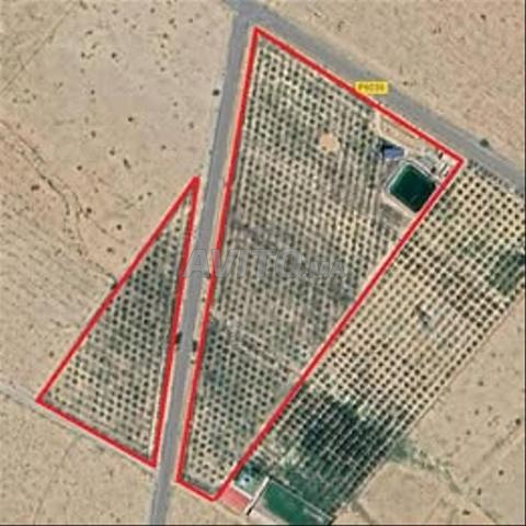 Terrain agricole négociable