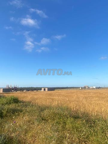 Terrain à vendre magnifique d'un hectare et 600 mètres - 2