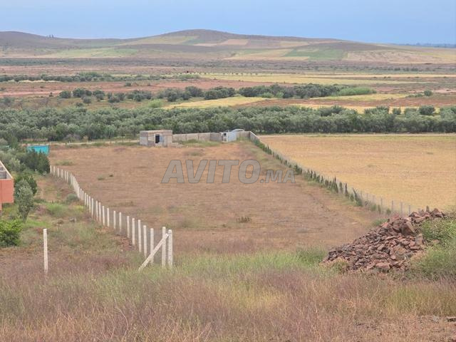 Terrain colline - 2