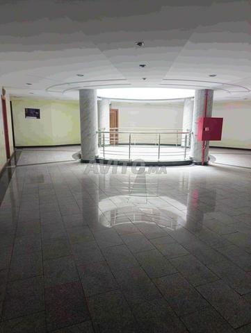 Location Bureau Professionnel - 2